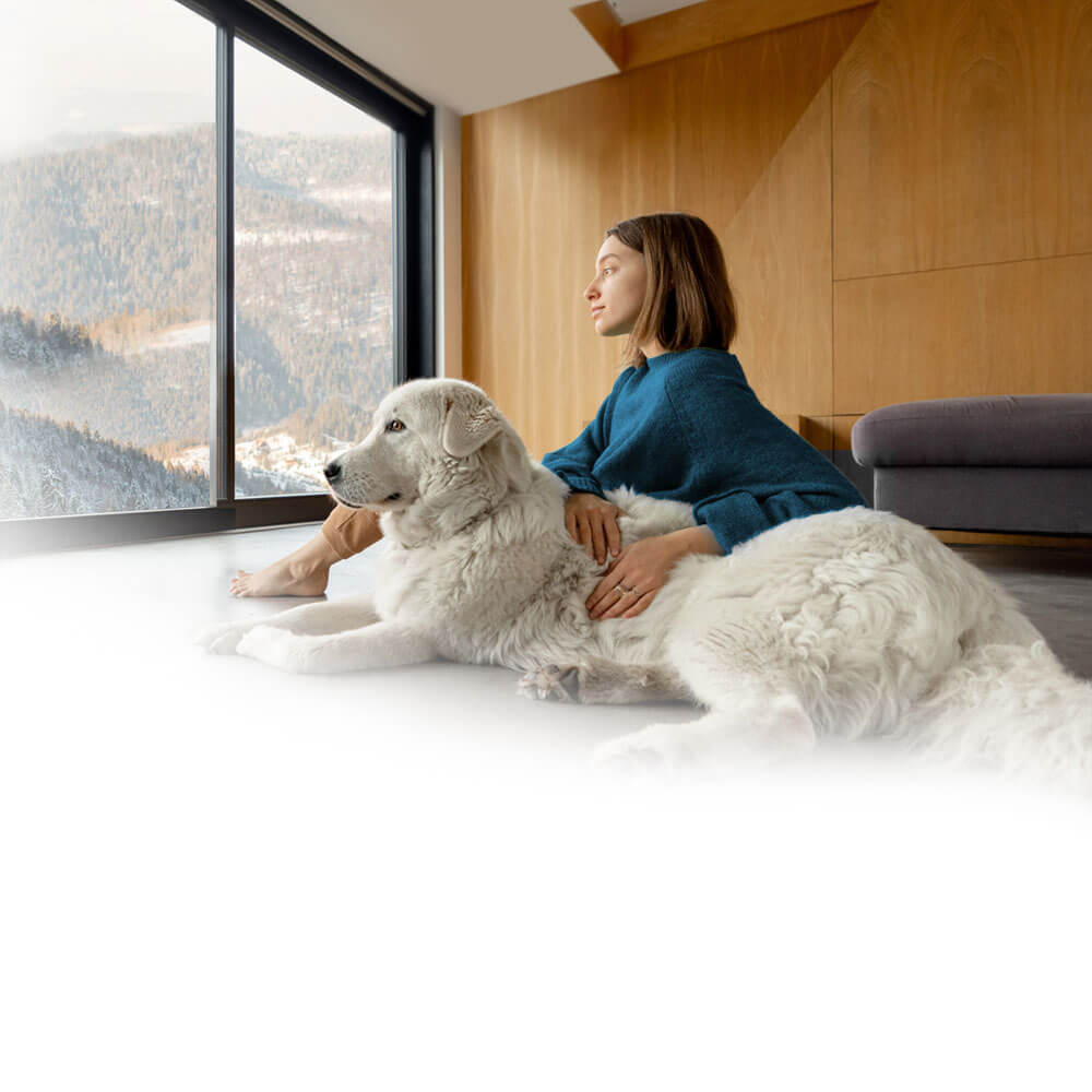 Program Ciepłe Mieszkanie